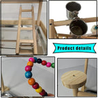 Parrots Playground, Bird Play Gym Wood Perch Stand Colours Revolving Climb - Image 3