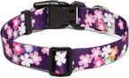 Mercano Adjustable Dog Collar - Image 2
