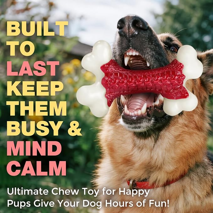 10-Pack Tough Dog Toys, Toys for Aggressive Chewers Large Breed, Chew Dogs - Image 8
