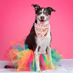 PTDECOR Rainbow Dog Bandanas Pride Day Dog Scarf Reversible Triangle LGBT+ - Image 3