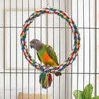 Bird Rope Swing Colorful Perch Climbing Toy - Image 4