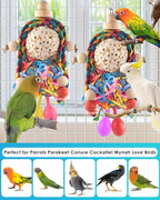 Bissap Conure Toys - Image 7