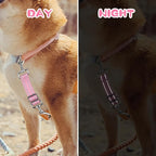 YUEPET Dog Safety Collar Clips 2 Pack Adjustable Prong Collar Backup Clips - Image 5