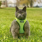 Best Pet Supplies - Image 8