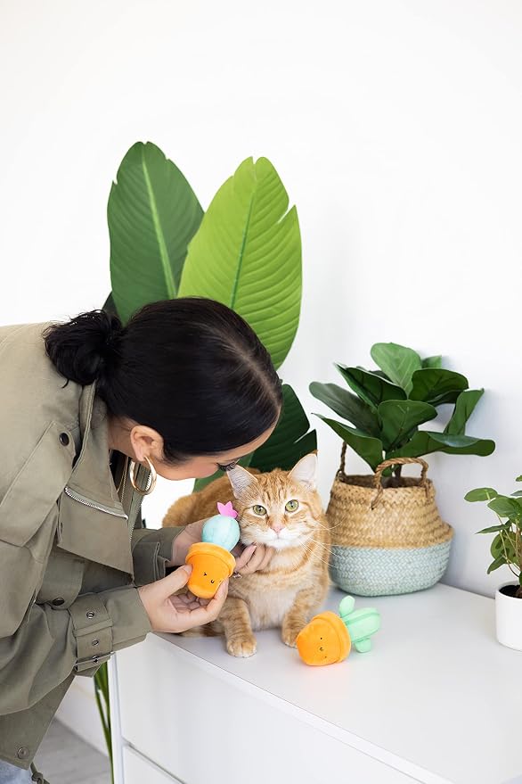 Pearhead Prickly Plants Cat Toy Set, Cute Catnip Toys, Plush Cactus Interactive - Image 9