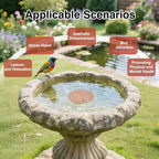 Bird Bath Copper Disc- Reinforced 99.99% Pure Copper Bird Bath Purification - Image 5