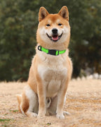 TagME Reflective Nylon Dog Collars, Adjustable Classic Pet Collar - Image 2