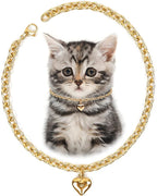 HOWWFALY Dog Collar and Cat Chain Necklace Stainless Steel Adjustable 18K Gold by HOWWFALY