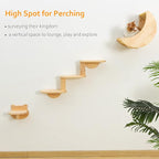 Cat Shelf for Wall Mount Hammock - Image 3