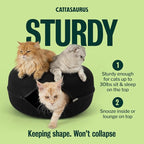Cattasaurus Peekaboo Cat Cave Donut - Image 3