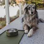 Wilderdog Silicone Pet Placemat Made - Image 7
