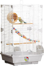 Basic Bird Cage, 24.8inch Parrot Cage, Bird Cage by Craftsboys