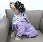 lionet paws Valentines Dog Bandana - Image 4