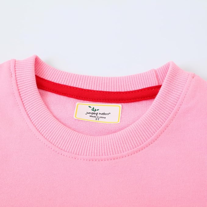 Toddler Baby Girls Cotton Sweater, Long Sleeve Crewneck Sweatshirt Pullover - Image 4