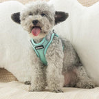AIITLE Step in Dog Harness and Leash Set - Image 9
