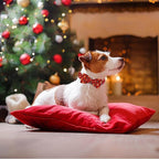 Christmas Dog Collar, Soft Pet Collar Gingerbread Man Cute Dog Collar - Image 5