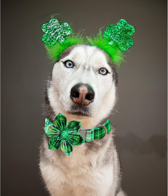 Lionheart glory St. Patrick's Day Dog Collar - Image 4