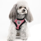 shudyear Summer cat Chest Harness and Leash, Anti-Escape Adjustable Soft mesh - Image 6