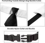 ADOGGYGO Adjustable Dog Neck Tie Collar Pet Collar - Image 4