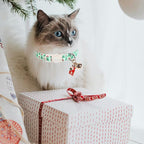 ARING PET 2 Pack Cat Collar, Christmas Breakaway Kitten Small Collars - Image 4