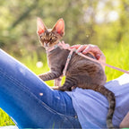 TIESOME Cat Harness and Leash Set, Adjustable Gradient Kitten Harness Escape - Image 7
