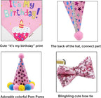 ADOGGYGO Dog Birthday Bandana Scarf and Dog Girl Birthday Party Hat - Image 6