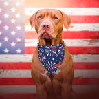 PTDECOR American Flag Dog Bandana 4th of July Dog Scarf Reversible Red Blue - Image 3