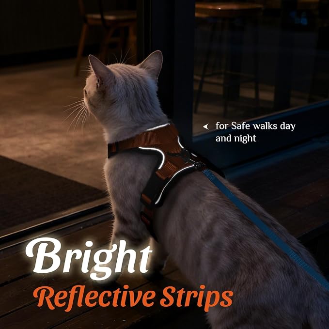 Dooradar Cat Harness and Leash Set, Escape Proof Safe Adjustable Kitten Vest - Image 5