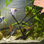 15Inch Extra Long Design Aquarium Aquascaping Tool Stainless Steel Aquascape - Image 8