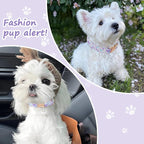 Elegant Butterfly Dog Collar, Adjustable Comfortable - Image 6