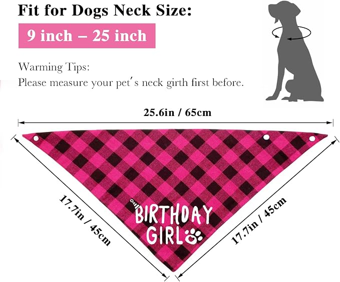 Birthday Plaid Dog Bandana - Image 4