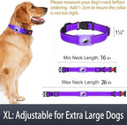 Airtag Dog Collar with AirTag Holder - Image 6
