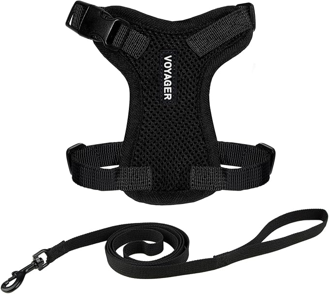 Voyager Escape-Proof Step-in Lock Cat Harness & 5ft Neoprene-Handle Leash Set by BestPetSuppliesLLC