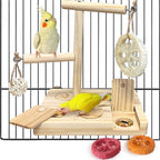 Bird Foraging Toys Parrot Enrichment Puzzle Toy Bird Playground Exploring by Hamiledyi