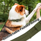 Tactical Dog Collar with Handle, Military Adjustable Heavy Duty Metal Buckle - Image 5