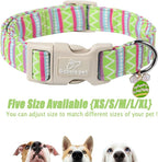 Easter Dog Collar for Medium Dogs - Image 6
