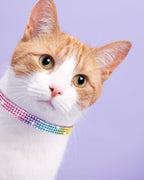 Cat Collars for Girl Cats with Rhinestone Soft Velvet, Breakaway Cat Collars - Image 2