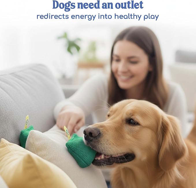 Race&Herd Original Dog Scent Training Kit, Scent Work Training Kit - Image 6