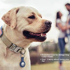 DAGANXI Tactical Dog Collar Leash Set, Adjustable Military Training Nylon Dog - Image 2