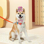 Pet Birthday Hat, Dog Birthday Crown Hat and Bowtie - Image 5