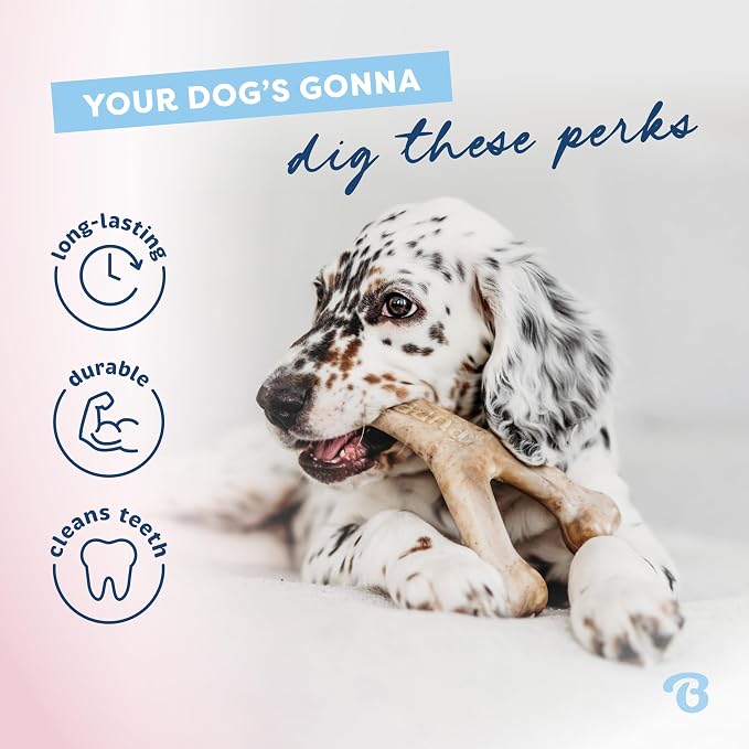 Benebone Puppy 4-Pack Dog Chew Toys, Made in USA, 30lbs and Under, - Image 5
