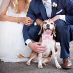 Segarty Dog Bow Tie Collar, Adjustable Pink Bowtie - Image 5