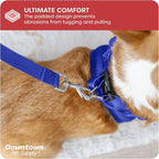 Downtown Pet Supply Step in Dog Harness - Image 6