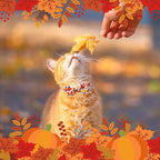 SCENEREAL Fall Thanksgiving Cat Collar Breakaway - Image 2
