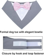 ADOGGYGO Formal Dog Tuxedo Wedding Pet Bandana Collar - Image 5