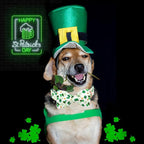 Lionheart glory Dog Bow Collar St. Patrick's Day Dog Collar - Image 4