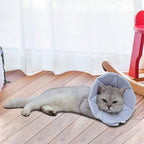 Soft Cat Recovery Collar, Adjustable Dog Cat Cone, Dog Protective Cone Collar - Image 7