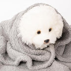2 Blankets, Dog Cat Pet Blanket, Soft Warm Fleece, - Image 7