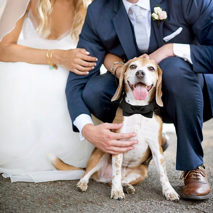 Segarty Bow Ties for Dogs Neck Girth 10.2-14.2in, Adjustable Black Bowtie - Image 5