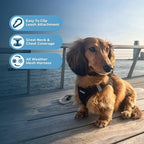 Best Pet Supplies Voyager Step-in Air Harness - Image 3